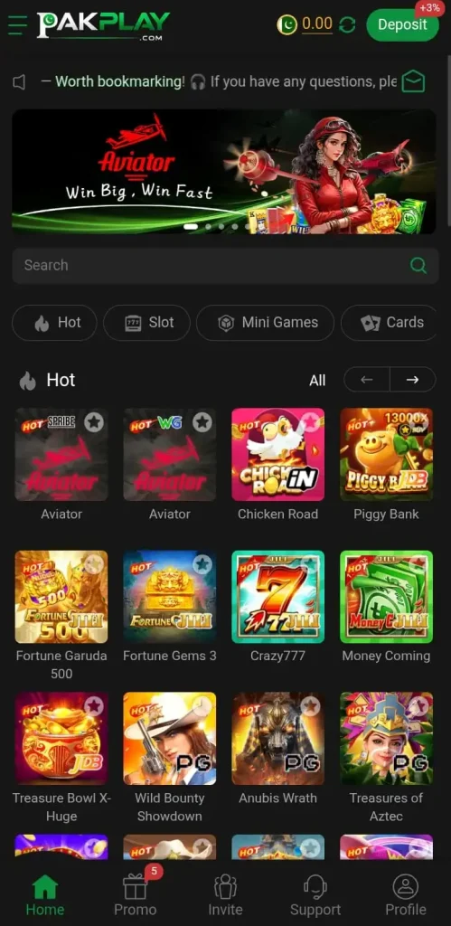 PakPlay Game